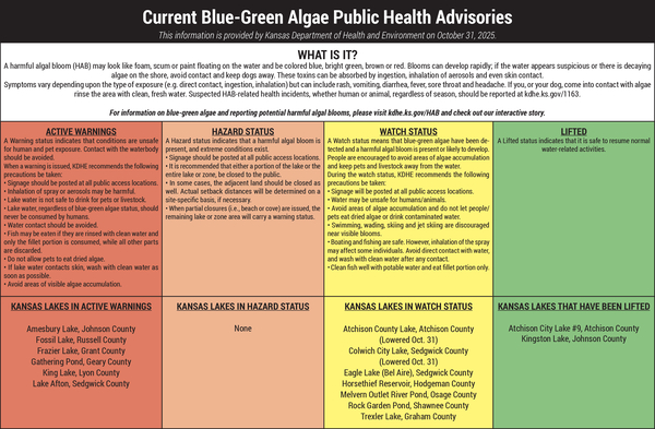 thumbnail of *Blue Green Algae Table 10.31.2025