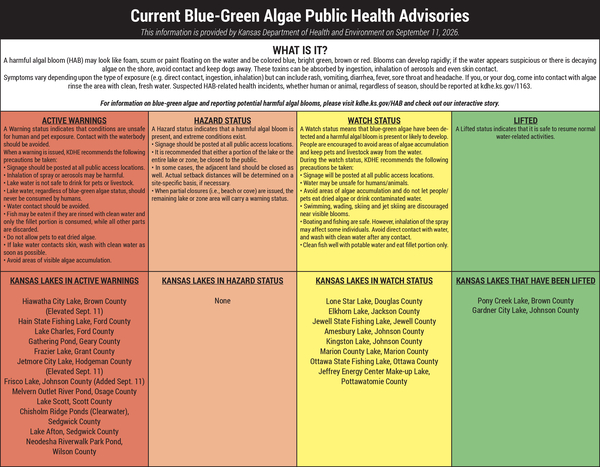 thumbnail of *Blue Green Algae Table 9-11-2026