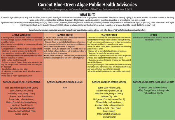 thumbnail of *Blue Green Algae Table 10.9.2026